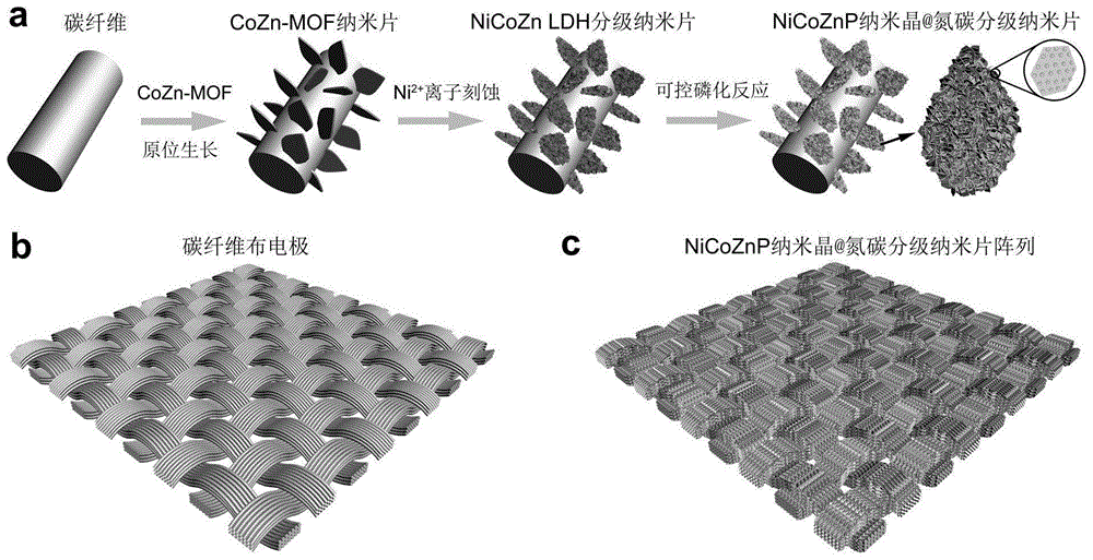 磷化物纳米晶@氮碳分级纳米片阵列及其制备方法和用途与流程