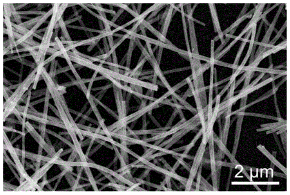 负载3d过渡金属单原子的多孔道氮掺杂的碳纳米纤维复合材料及其制备方法和应用与流程