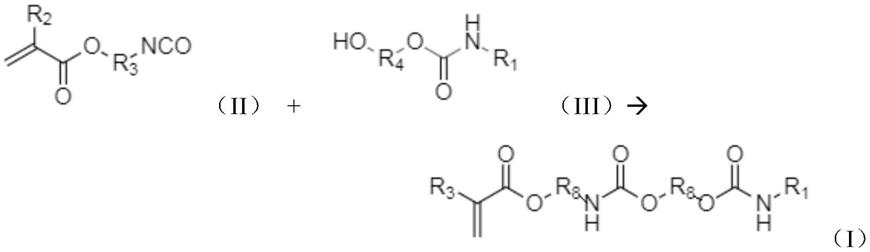 氨基甲酸酯官能单体和聚合物及其用途的制作方法