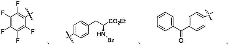 一类含烯基磺酰基分子的合成与应用的制作方法