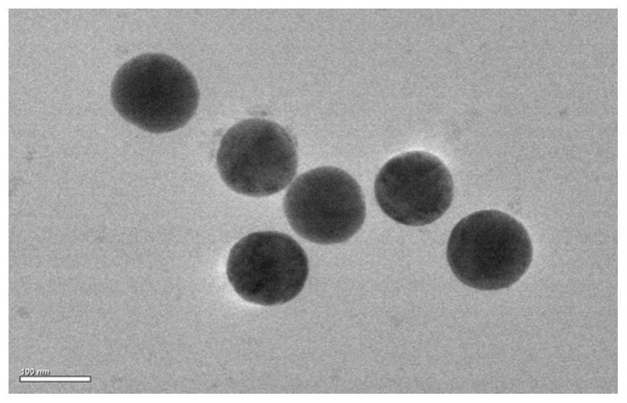 纳米硒海藻酸钠复合凝胶及制备方法和应用与流程