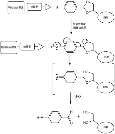 含可裂解连接基的抗体药物缀合物的制作方法