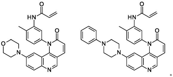 用于对抗癌症的作为BMX抑制剂的苯并[H][1,6]萘啶-2(1H)-酮的制作方法