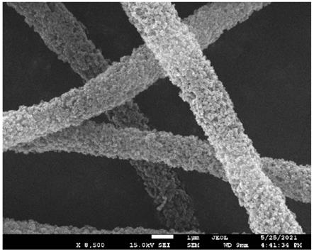 基于团队硼亲和的莽草酸表面分子印迹的静电纺丝纤维的制备方法和应用与流程