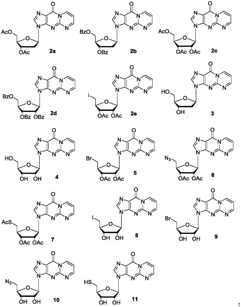 一类内源性核苷M1dG及其衍生物的合成方法及其应用与流程