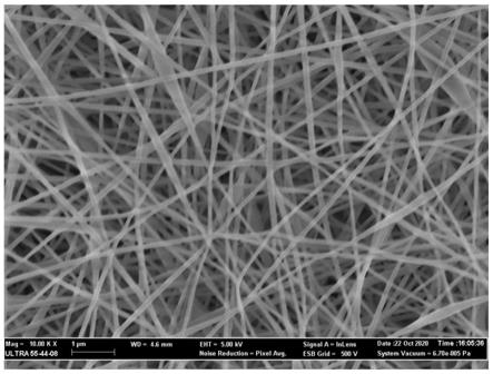 一种具有粘附性和抗菌性能的壳聚糖基纳米纤维伤口敷料及其制备方法与流程