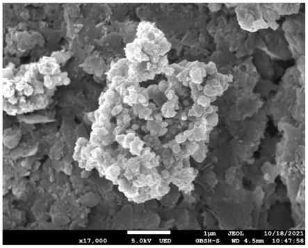 一种聚天冬氨酸及保险粉复合改性纳米零价铁材料的制备方法及应用与流程