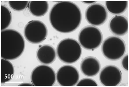 可X射线显影的碘络合聚乙烯醇栓塞微球及其制备方法与流程