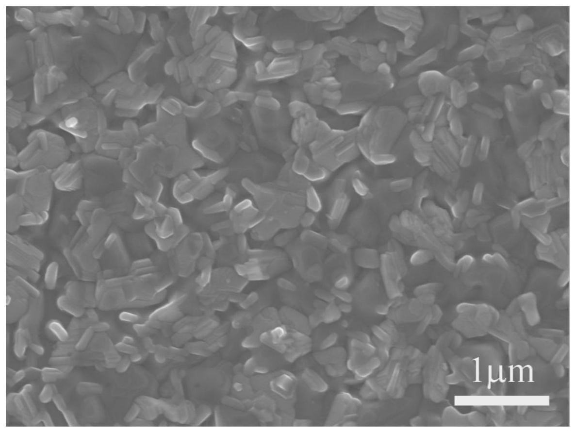 一种预质子化氨基吡啶辅助制备高效钙钛矿太阳能电池的方法