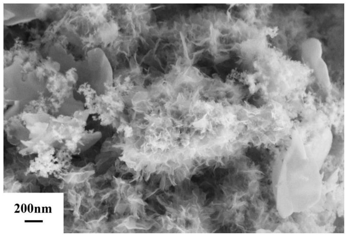 一种花瓣状锰铈复合氧化物脱硝催化剂及其制备方法