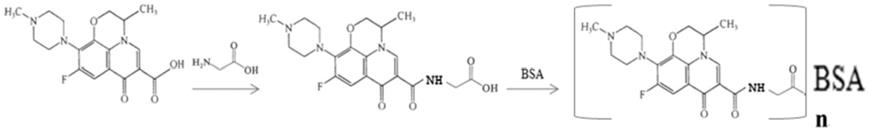 一种氧氟沙星抗原的合成方法及其在制备单克隆抗体中的用途与流程