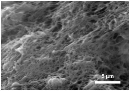 SiO2微球/石墨烯/壳聚糖复合铅离子印迹水凝胶的制备方法