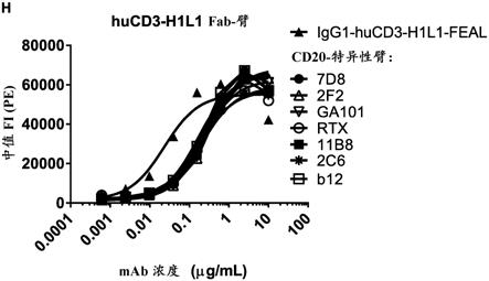 针对CD3和CD20的双特异性抗体的制作方法