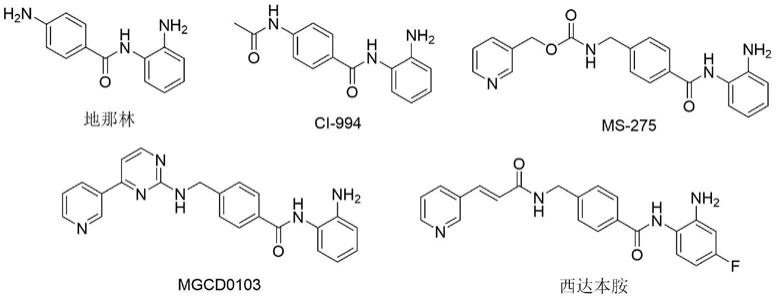 苯甲酰胺类化合物及其作为抗肿瘤药物的应用