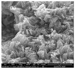 泡沫镍负载碳包埋零价铁阴极及制备与降解抗生素的方法