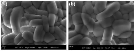 阴离子掺杂改性锂离子电池正极材料及其制备方法和应用