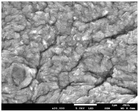 载铁椰壳活性炭壳聚糖复合微球的制备及其应用