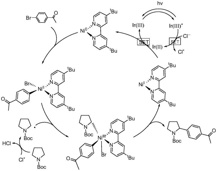 一种光催化实现的含氮杂环N-α位芳基化方法
