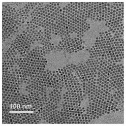 一种蓝光十二面体钙钛矿量子点材料的制备方法及其应用