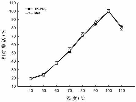 一种淀粉降解能力提高的嗜热酸性III型普鲁兰水解酶突变体及其制备方法和应用
