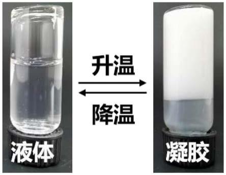 一种体温引发成型的水凝胶敷料及其制备方法与流程