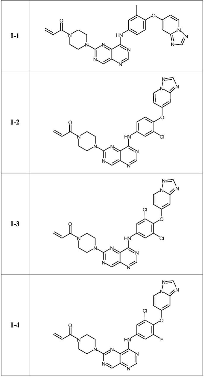 作为HER2抑制剂的[1,3]二嗪并[5,4-d]嘧啶的制作方法
