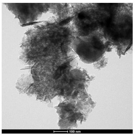 磁性二硫化钼-铁酸镉纳米复合物制备及其在光检测催化降解抗生素效率的方法
