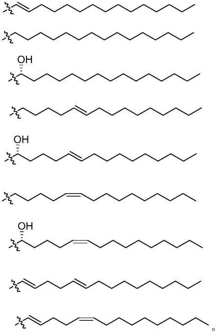 含共轭羧酸的神经酰胺类化合物及其制备方法和应用与流程