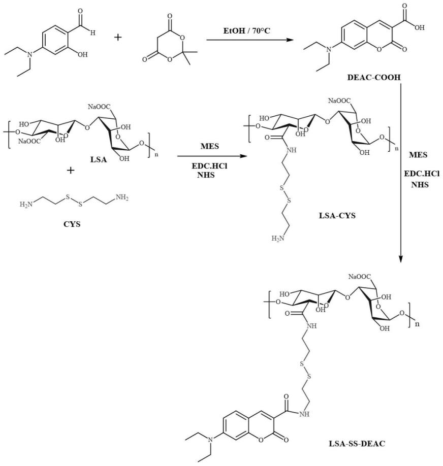 海藻酸-g-香豆素衍生物的合成及其制备负载阿霉素的Pickering乳液的方法