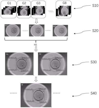 一种胚胎发育过程视频的自动标注方法及系统与流程