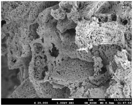 铁钛共掺杂的多孔石墨相氮化碳光芬顿催化剂及其制备方法和应用