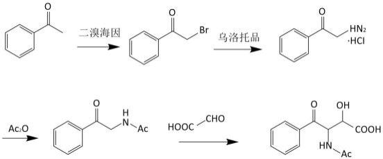 苏式-2-羟基-3-乙酰氨基-4-苯基羰基丁酸不对称合成方法与流程