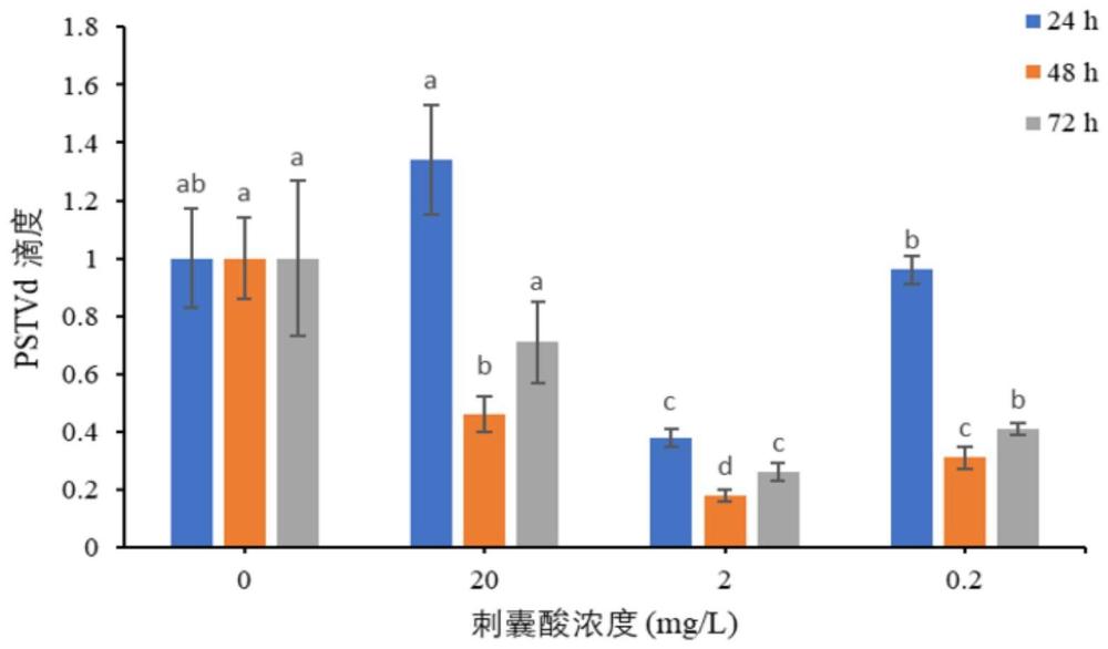 刺囊酸在抑制番茄中类病毒方面的应用