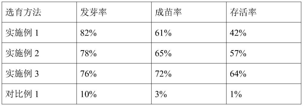 一种适应重黏土壤条件的苗木品种选育方法及苗木品种与流程