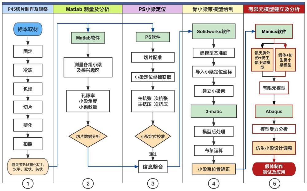 一种基于P45生物塑化切片骨小梁数据的股骨力学仿生假体制造方法