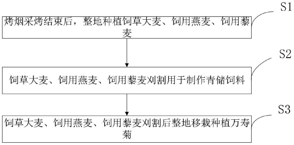 一种降低烤烟根结线虫数量的周年轮作方法及系统与流程