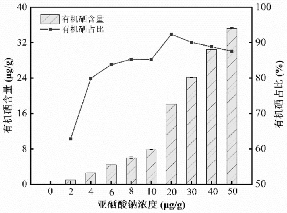 一种红曲米的制备方法及其应用