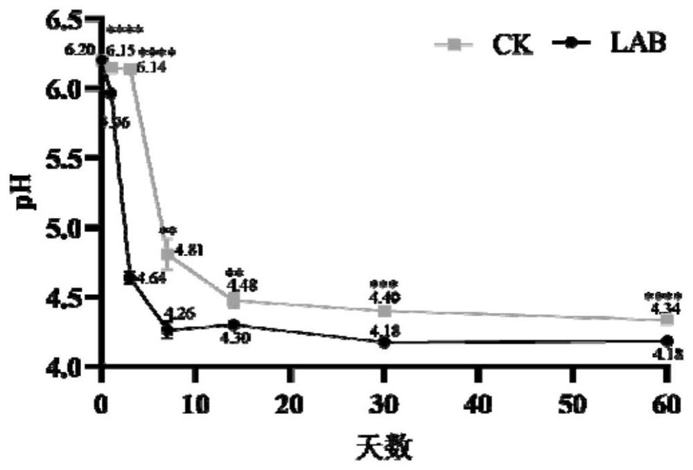 植物乳杆菌在苜蓿青贮发酵中的应用