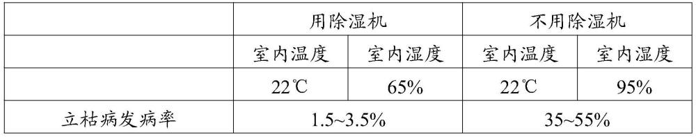 除湿装置在阴冷高湿天气下促进蔬菜苗期健康生长和/或降低蔬菜苗期病害发生率中的应用的制作方法