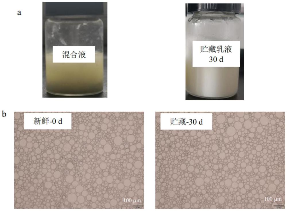 一种黄粉虫肽食品级乳液、其制备方法及应用