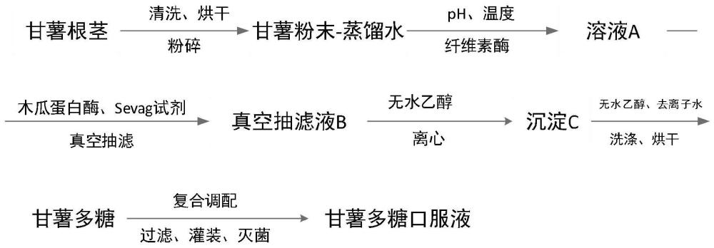 一种甘薯多糖口服液的生产工艺的制作方法