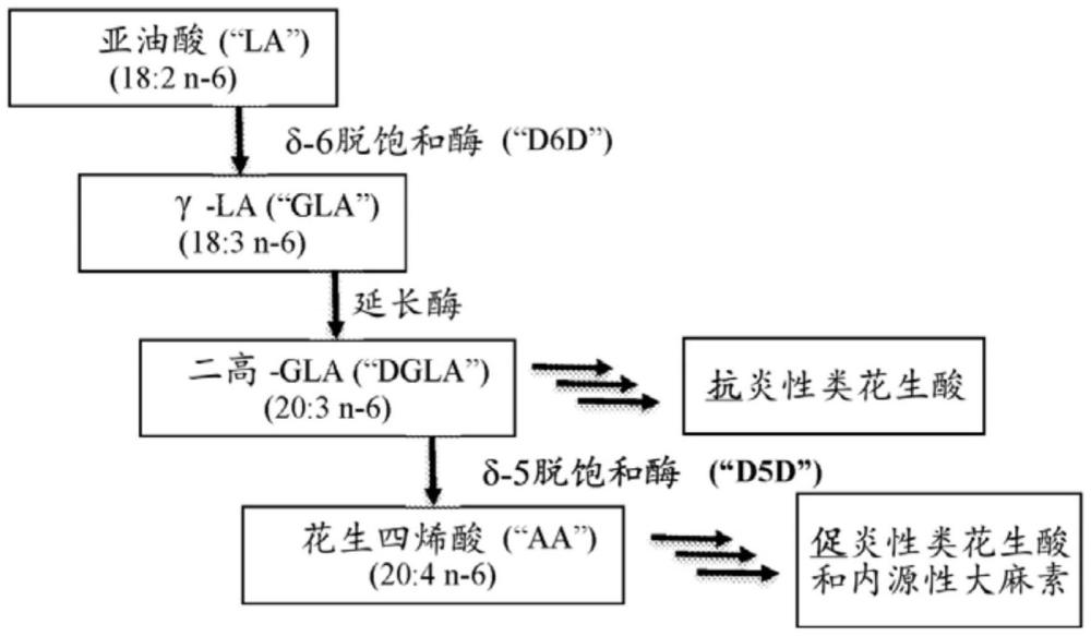 作为δ-5脱饱和酶抑制剂的杂环化合物以及使用方法与流程