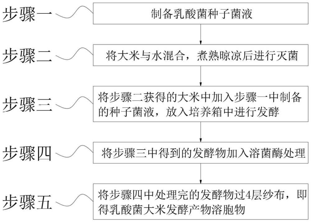 含有乳酸菌大米发酵产物溶胞物的组合物及其应用的制作方法