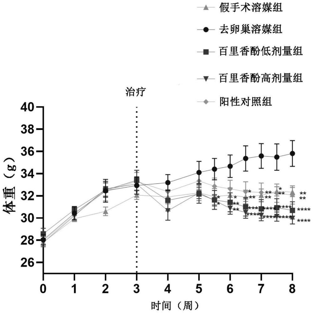 百里香酚在制备改善绝经或绝育介导的肥胖的药物中的应用