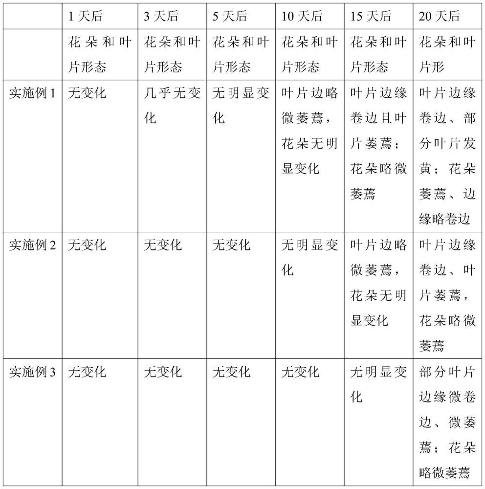 一种绣球切花保鲜液及保鲜方法与流程