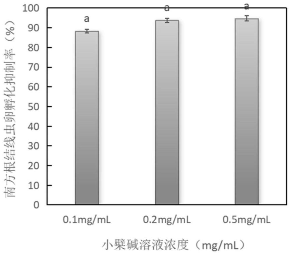 小檗碱在防治南方根结线虫中的应用