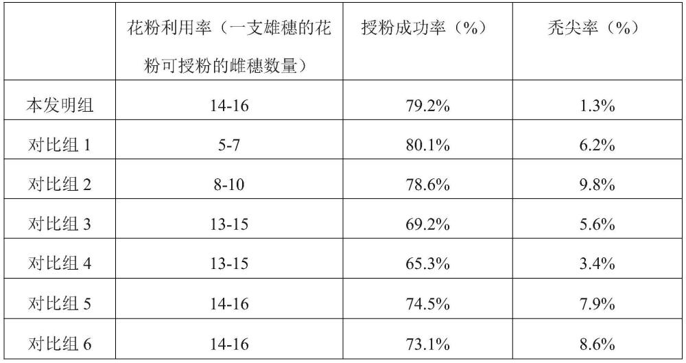 一种提高玉米杂交授粉花粉利用率的方法与流程