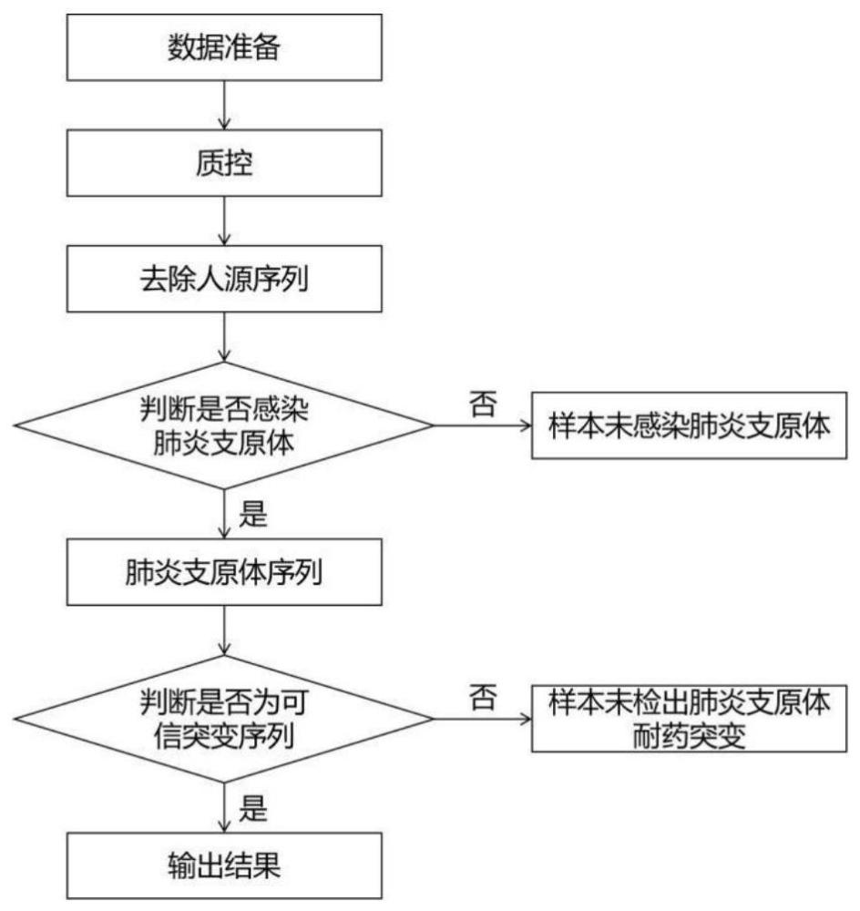 一种检测肺炎支原体及其23SrRNA基因耐药突变的生物信息分析方法与流程