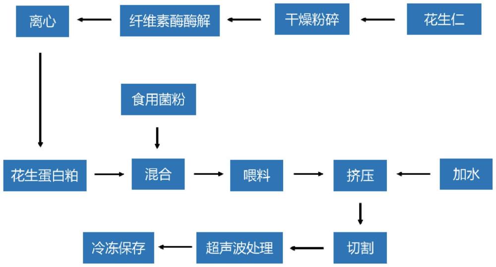 一种风味营养型花生蛋白素肉及其制备方法