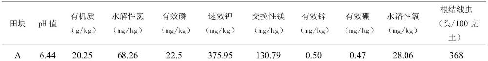 一种分蘖洋葱与烟草轮作种植防治烟草根结线虫病的方法与流程